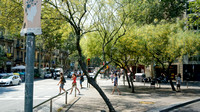 Street View Barcelona