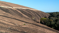 View of the wall above Wave Rock