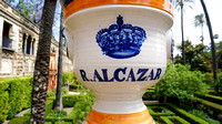Seville 2013