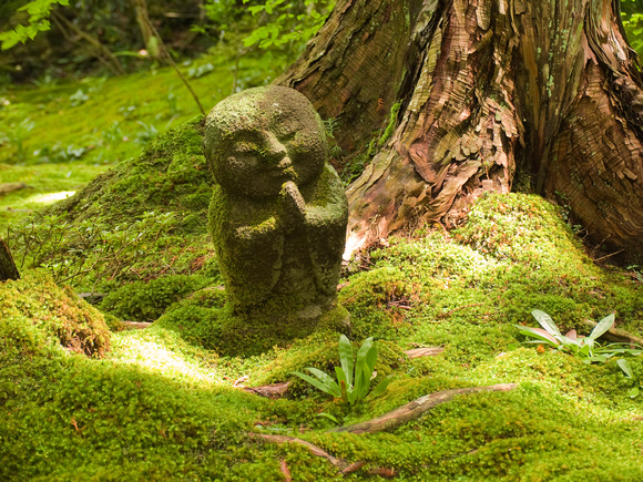 Moss Monk