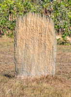 Magnetic Termite Mound