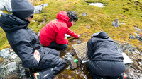 _DSC7390