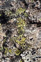 _DSC2778-Edit
