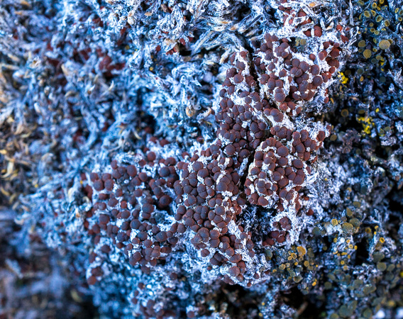 _DSC7786